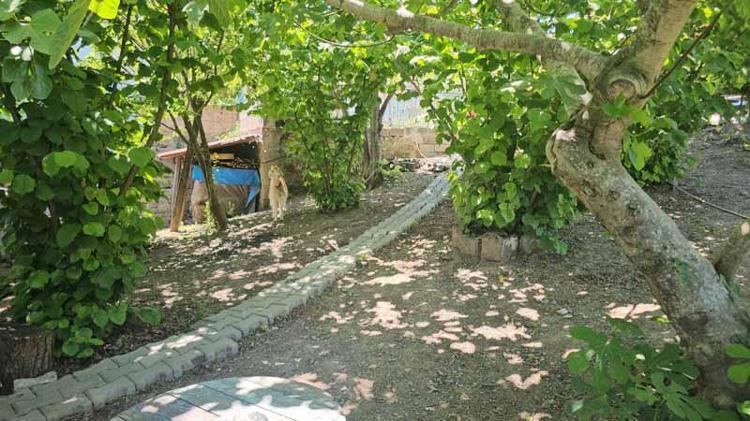 ÖĞRENCİLER YAPTIKLARINDAN KEYİF ALIYOR