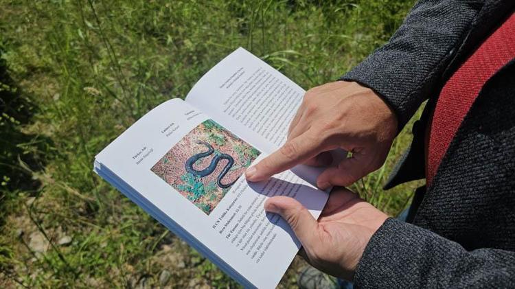 ÖLDÜRÜRSEK, FARELERİN SAYISI ARTAR