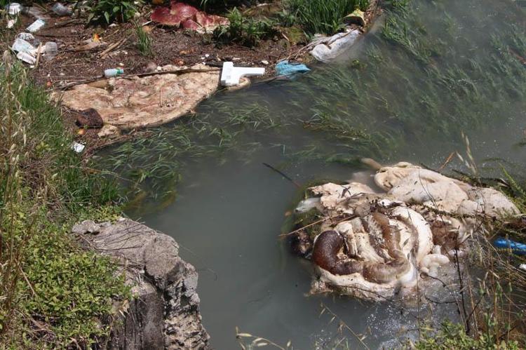 TARIM İŞÇİLERİ ÇİZME GİYMEDEN SULAMA YAPMAMALI