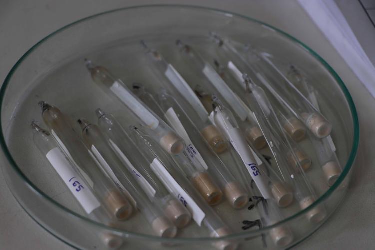 NURSEL KIZIMIZIN SUŞU BURADA SAKLANMAKTA