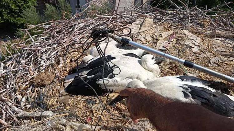 ATILAN HER İP LEYLEKLERİN HAYATINI TEHLİKEYE ATIYOR