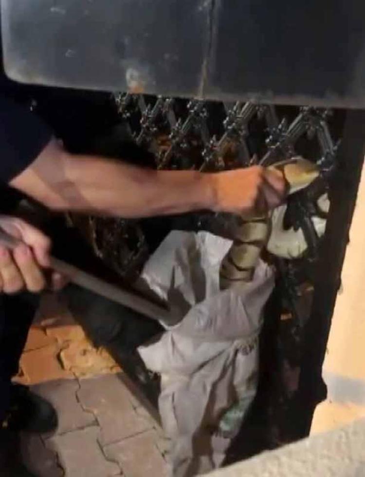 KAPUTA GİREN KEDİLERE DİKKAT