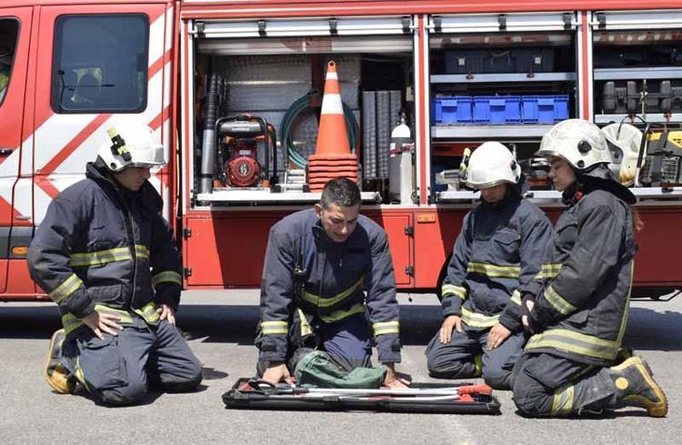 SÜTÜ İÇMEK İÇİN EVLERİN İÇİNE KADAR GİREBİLİYOR
