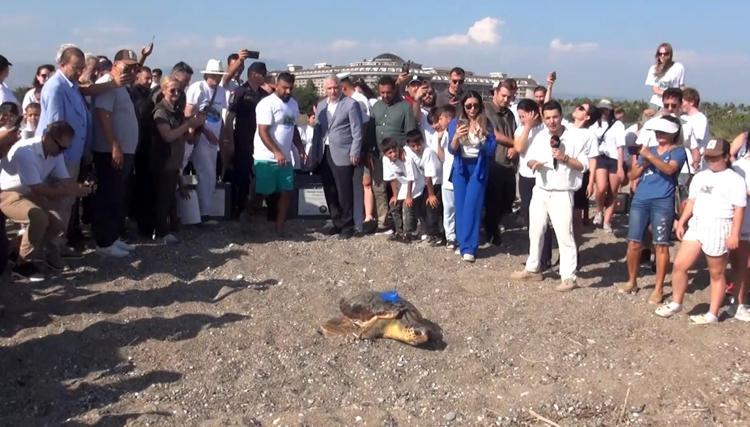 TOPLAM 760 BİN 424 KAPLUMBAĞA UĞURLANDI