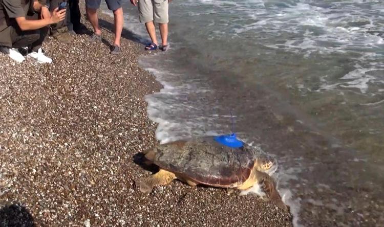 BİLİMSEL İZLEME VE GÖNÜLLÜ KATILIM