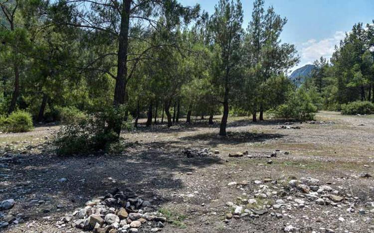 GENELGEDEKİ TEDBİRLER