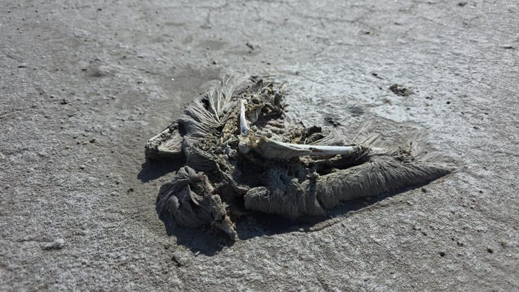 SONDAJDAKİ SU AZALMIŞ