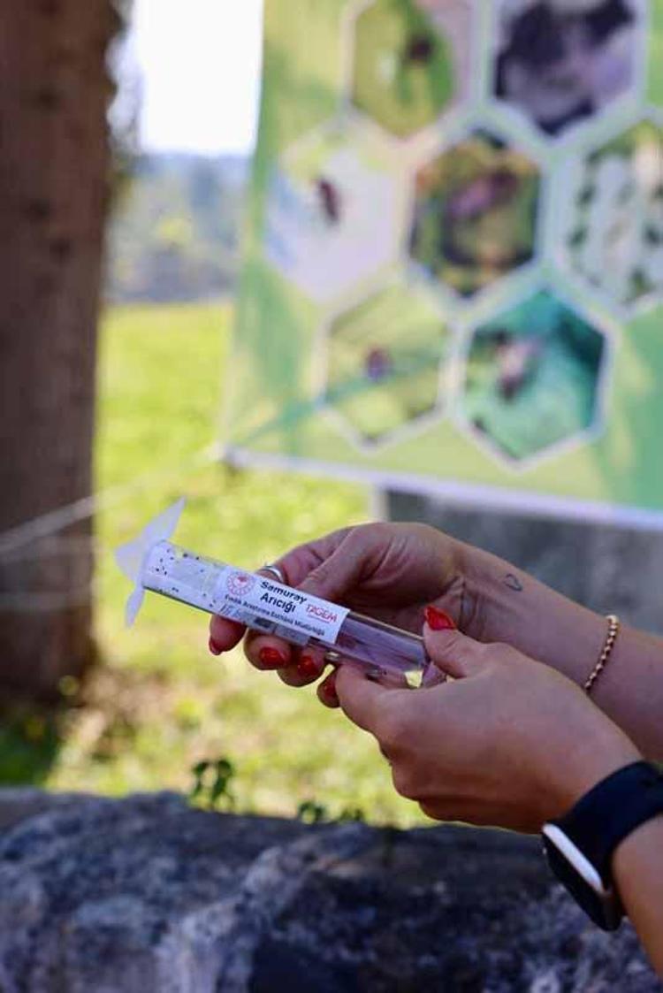 ‘KOKARCANIN ÜREMESİNİ ENGELLİYOR’