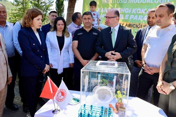 PEYDERPEY SAMURAY ARISI SALINIMI SÜRDÜRECEĞİZ