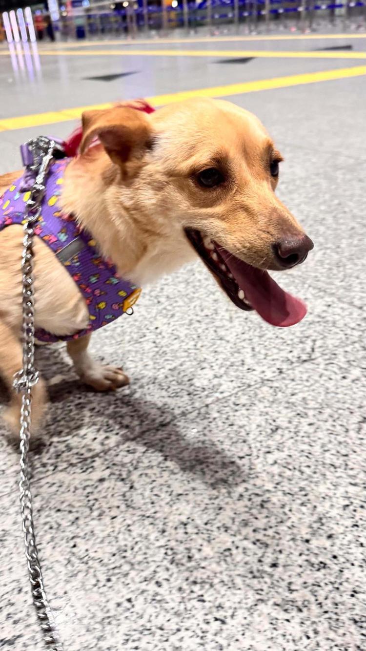 İYİLİK KOLAY DEĞİL