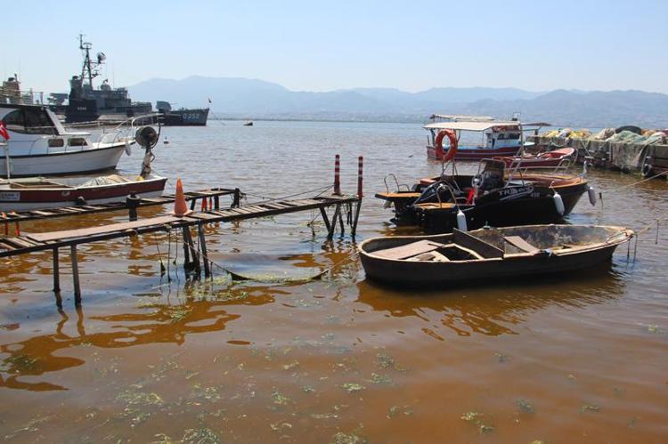 ZAMAN ZAMAN BU OLUŞUMLARA RASTLIYORUZ
