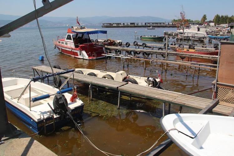 NÜFUS ÇOK KALABALIK, DEŞARJLARIN MİKTARLARI ÇOK FAZLA