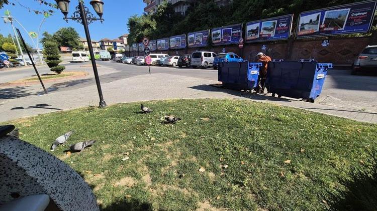 GÖRÜNCE ETRAFIMA TOPLANIYORLAR