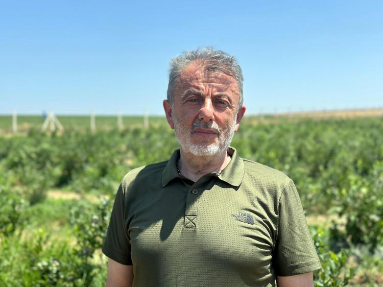 YÜZDE 65 VERİM KAYBIMIZ SÖZ KONUSU