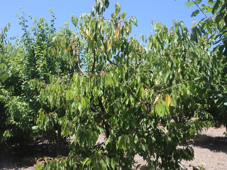 DESTEK OLMAZSA, MEYVE SEBZEYİ DE YURT DIŞINDAN ALMAYA BAŞLARIZ