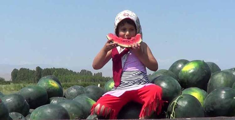 BU İŞİ SEVEREK, AŞK İLE YAPIYORUM