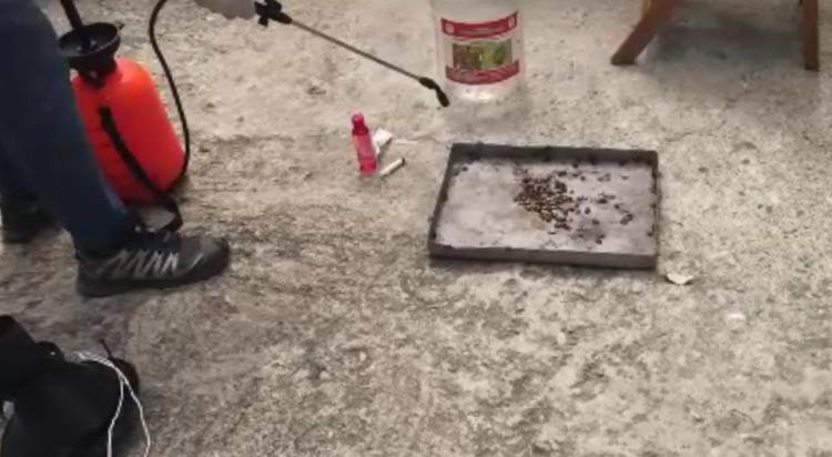 TAMAMEN ORTADAN KALDIRDIĞINI GÖRDÜK