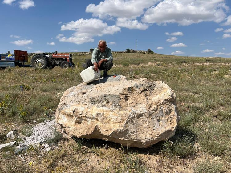 HAYVANLAR SU İÇERKEN ÇOK MUTLU OLUYORUM