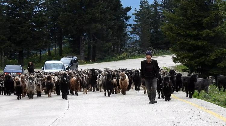 KARADENİZİN YAYLALARINI GÖRÜNTÜLÜYORUM