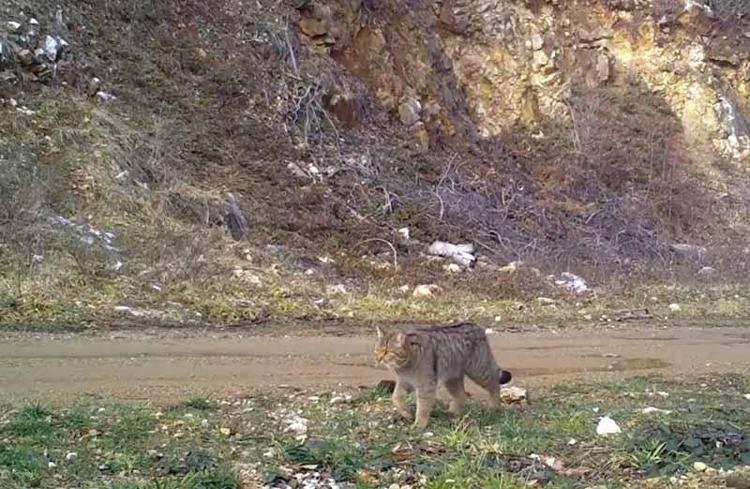 ŞİMDİ KEYİF ZAMANI