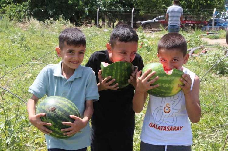 GAZLI İÇECEKLER YERİNE KARPUZ TÜKETİN