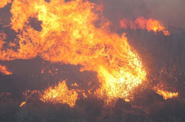 İZMİR, YANGIN ADEDİ VE YANAN ALAN BAKIMINDAN İLK 3TE