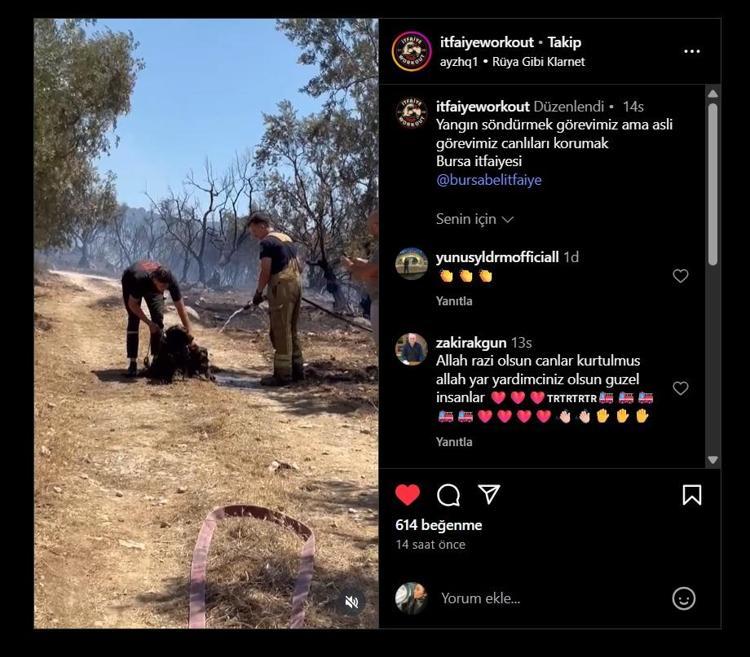 ‘ASLİ GÖREVİMİZ CANLILARI KORUMAK’