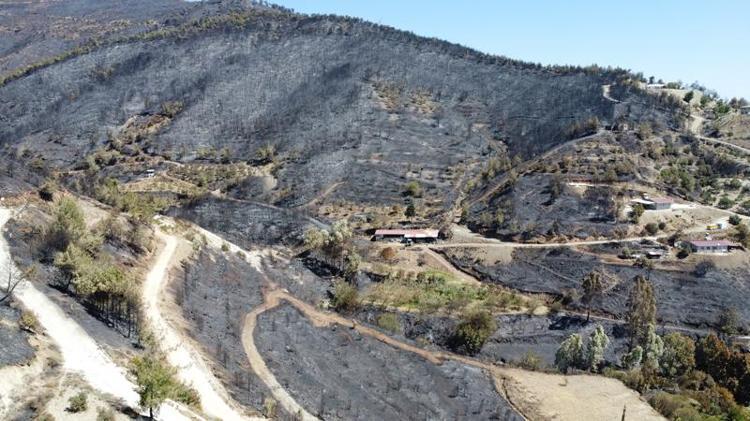 VALİLİK: TÜM ALANLARDA YANGIN KONTROL ALTINA ALINDI