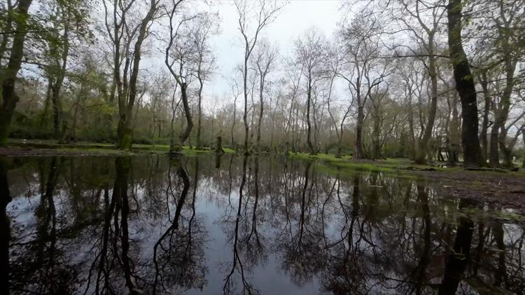 SU KAYNAKLARI KORUMALI