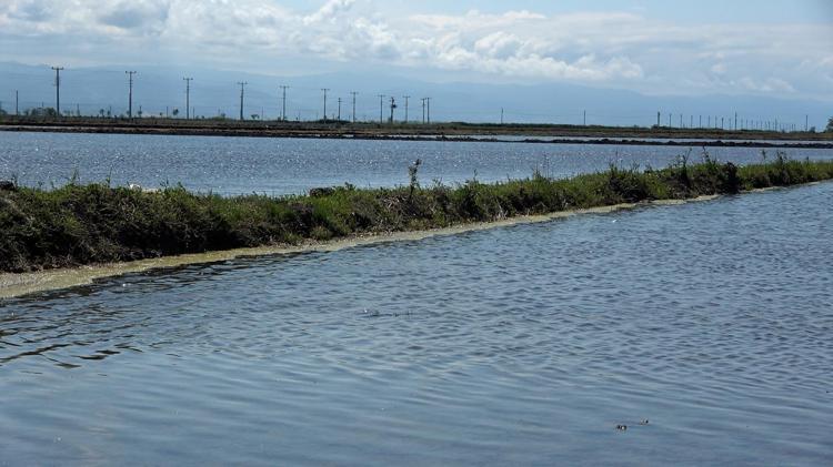 2025 DAHA SICAK GEÇEBİLİR