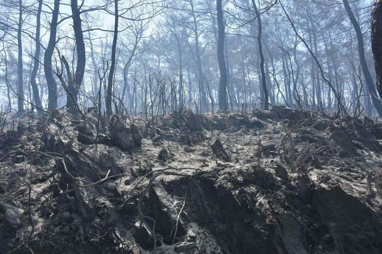 ÖNÜMÜZDE ZOR 2 AY VAR