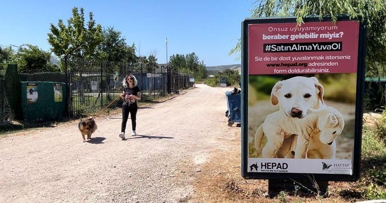 BURADA HİSSETİĞİM HUZURU KELİME İLE ANLATAMAM