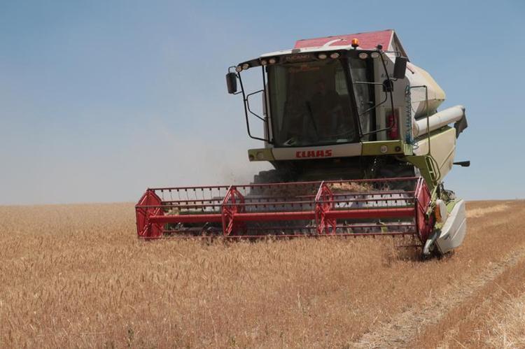 YÜZDE 30 ARTIŞ BEKLENİYOR