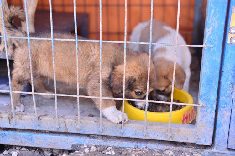 TRAVMAYI ATLATMALARI İÇİN ZAMAN TANIMAMIZ GEREKİYOR
