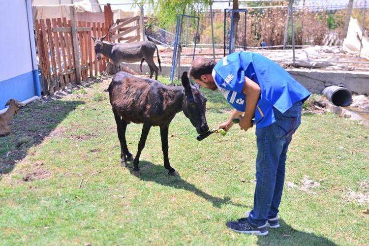 HER GEÇEN GÜN DAHA İYİ VE MUTLU OLACAKLAR
