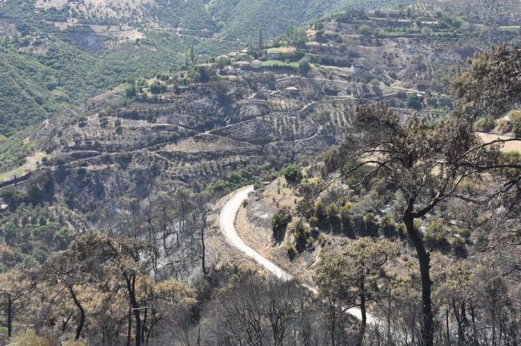 SAYAÇ OKUMA EKİBİ RUTİN OLARAK MAHALLEYE GİTMİŞ, GERİ ÇEKTİK