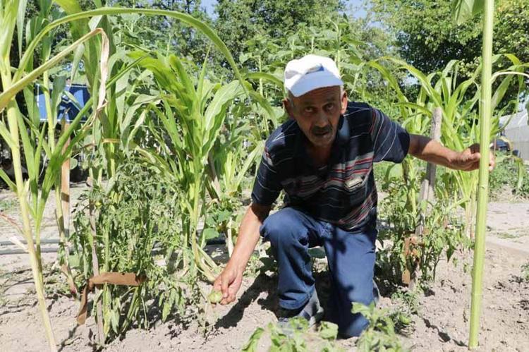 ‘BURAYA GELİNCE EKMEYİ ÖĞRENDİM’