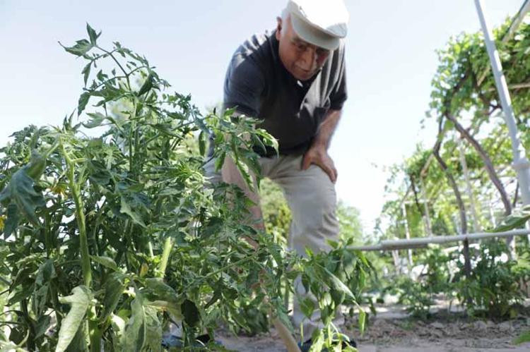 ‘BURASI ONLAR İÇİN TERAPİ MERKEZİ GİBİ’