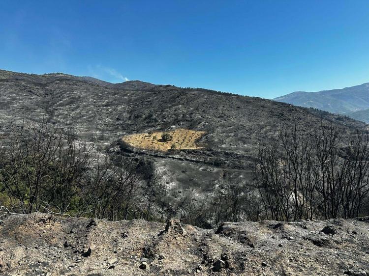 ORMANA GİRİŞ TÜM YIL YASAKLANMALI