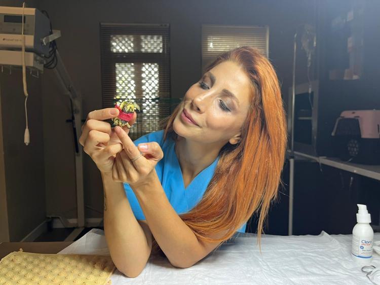 DOĞAYA BIRAKACAĞIZ