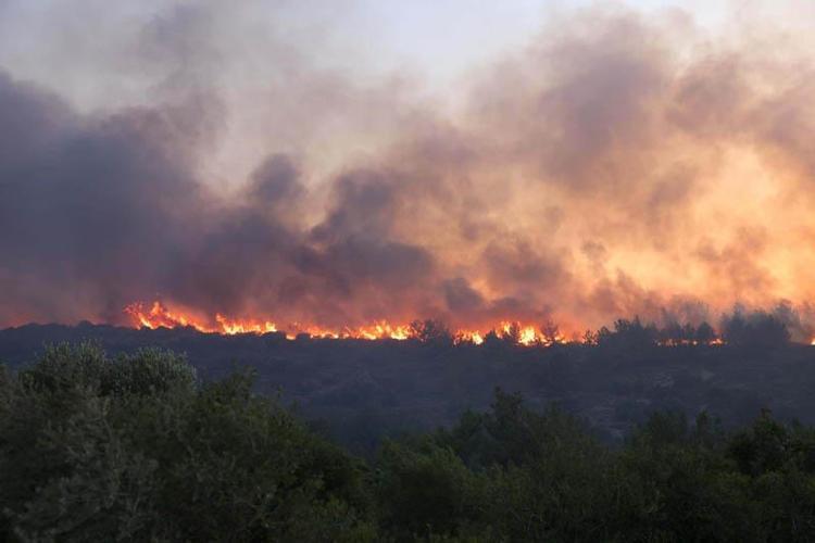 ORMAN YANGINLARI GAZ VE AEROSOL KAYNAĞI