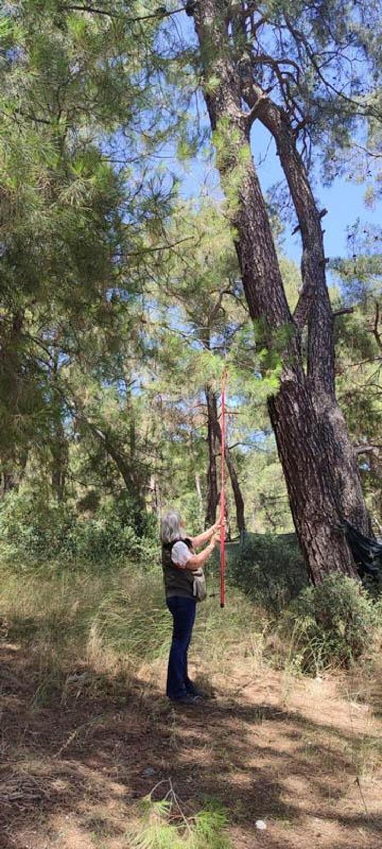 RİSK AZALTIMI AÇISINDAN HER BÖLGE İÇİN AYRI DEĞERLENDİRİLME GEREKİR