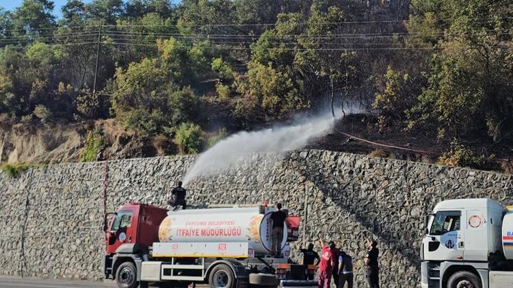 KURUMUŞ AĞACIN KESİLMESİ İÇİN DİLEKÇE VERİLMİŞ