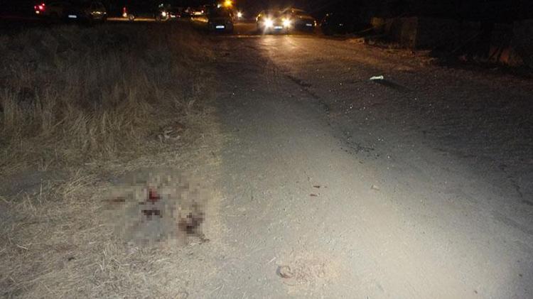 MUHTAR VE ÇOCUKLARINA TÜFEKLE ATEŞ AÇTI