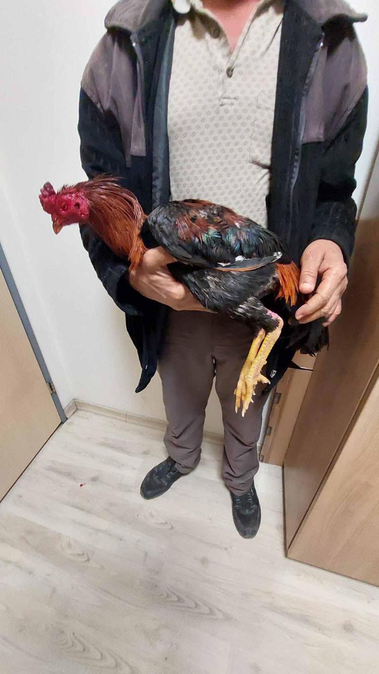 YEŞİL ALANLARDA DA HAYDİ TİMİ GÖREVDE