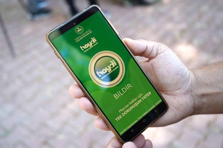 GÜNLÜK ORTALAMA 10 İHBAR