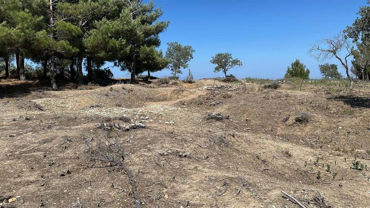 ‘ÇANAKKALE MUHAREBELERİNİN ŞİDDETİNİ YANSITMASI AÇISINDAN ÖNEMLİ’