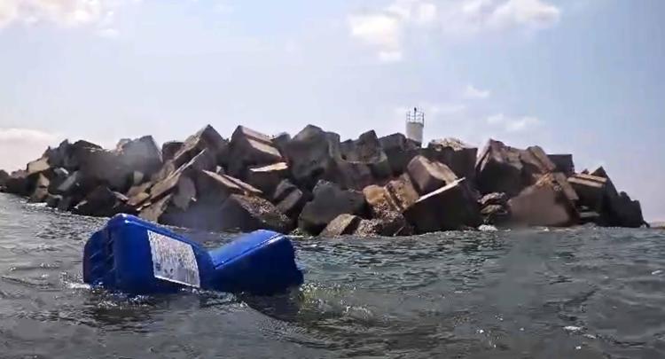 MARİNA YETKİLİSİ ADLİ KONTROLLE SERBEST