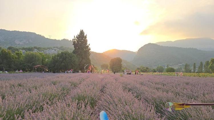 FOTOĞRAFÇILIK İÇİN ÇOK GÜZEL BİR YER