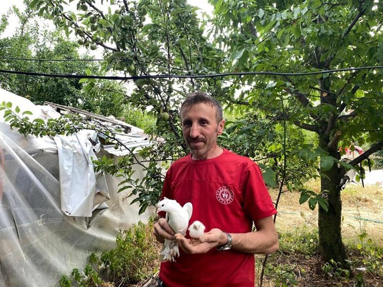 ‘CİVCİVİ ÇOK GÜZEL SAHİPLENMİŞ’